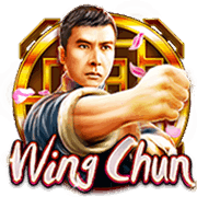 Vịnh Xuân Quyền thumbnail